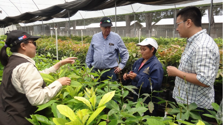 Taiwán capacita a más de 40 productores de aguacate Taiwán capacita a más de 40 productores de aguacate
