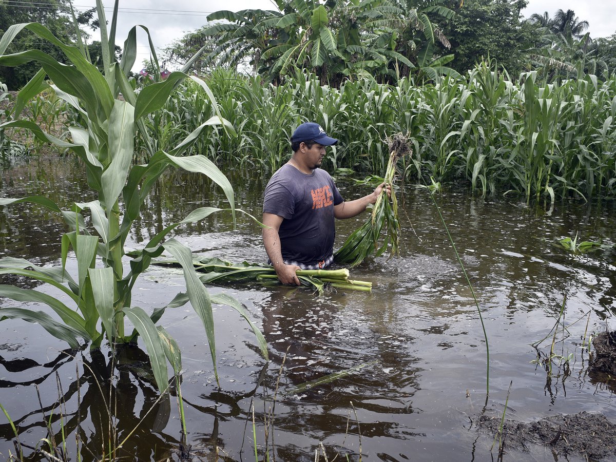 Unas 100,000 familias campesinas fueron afectados por «Iota y Eta»