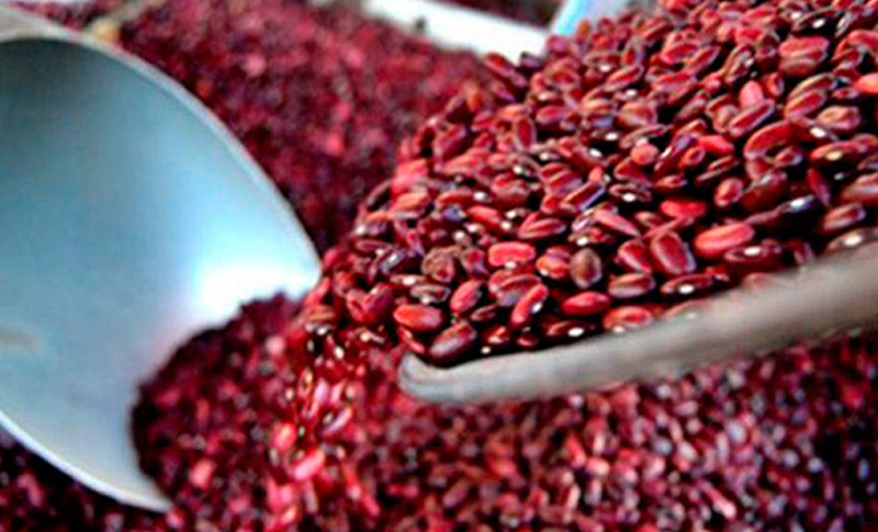 Presidente de la Cámara: 70,000 quintales de frijol ofrecemos para combatir especulación   