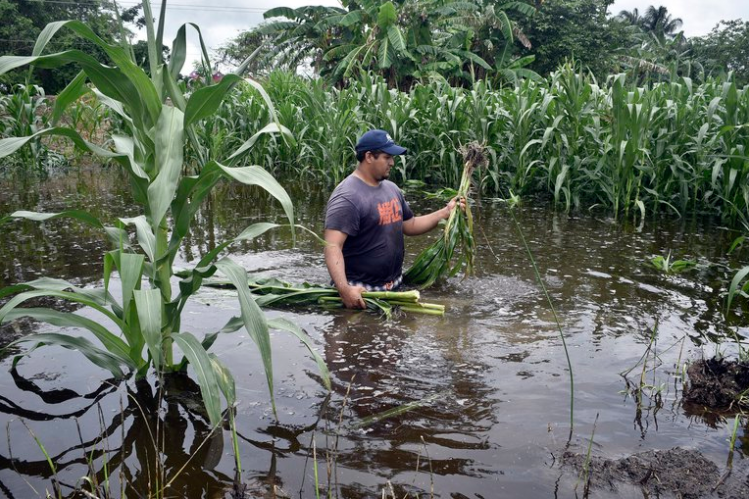 Google amplía su sistema de alertas por inundación a 80 países incluyendo Honduras Google amplía su sistema de alertas por inundación a 80 países incluyendo Honduras