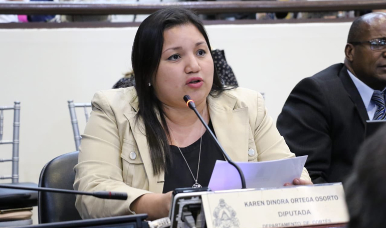 Diputada de APH: «Estoy trabajando de forma individual para llevar ayuda a albergues y casas refugios» Diputada de APH: «Estoy trabajando de forma individual para llevar ayuda a albergues y casas refugios»