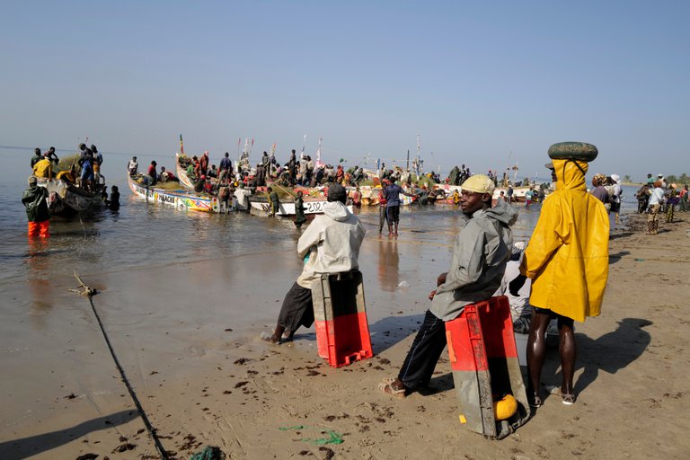 Extraña enfermedad de la piel afecta a más de 500 pescadores en Senegal