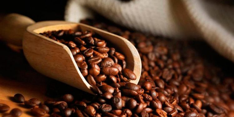 Presidente de Uniocoop: «$1,000 millones en divisas generará exportación de café» Presidente de Uniocoop: «$1,000 millones en divisas generará exportación de café»
