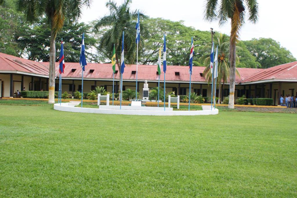 Universidad Nacional de Agricultura se suma a campaña «No Están Solos» Universidad Nacional de Agricultura se suma a campaña «No Están Solos»