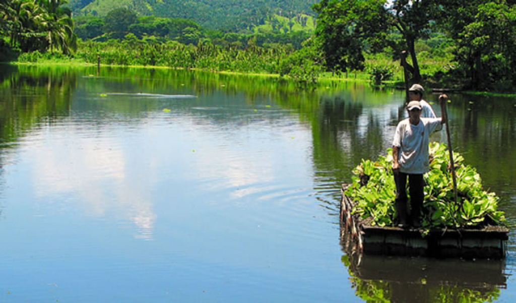 La Laguna Ticamaya vuelve a la vida gracias a ETA e IOTA