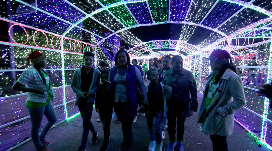 Suyapa Sosa: «En manos de la población está tener una blanca o negra Navidad»  