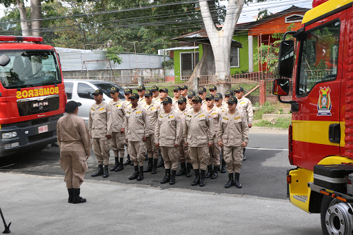 Cuerpo de Bomberos atendió más de 600 incendios estructurales y 320 en el bosque en este año