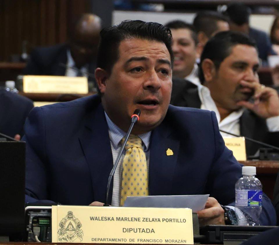 Precandidato a diputado: «Diferencias políticas deben dejarse a un lado y buscar levantar a Honduras» Precandidato a diputado: «Diferencias políticas deben dejarse a un lado y buscar levantar a Honduras»