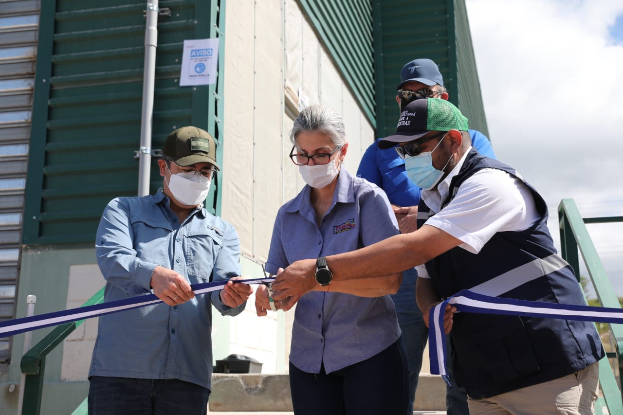 Presidente Hernández inaugura planta exportadora de vegetales «D´Leite» en Comayagua Presidente Hernández inaugura planta exportadora de vegetales «D´Leite» en Comayagua