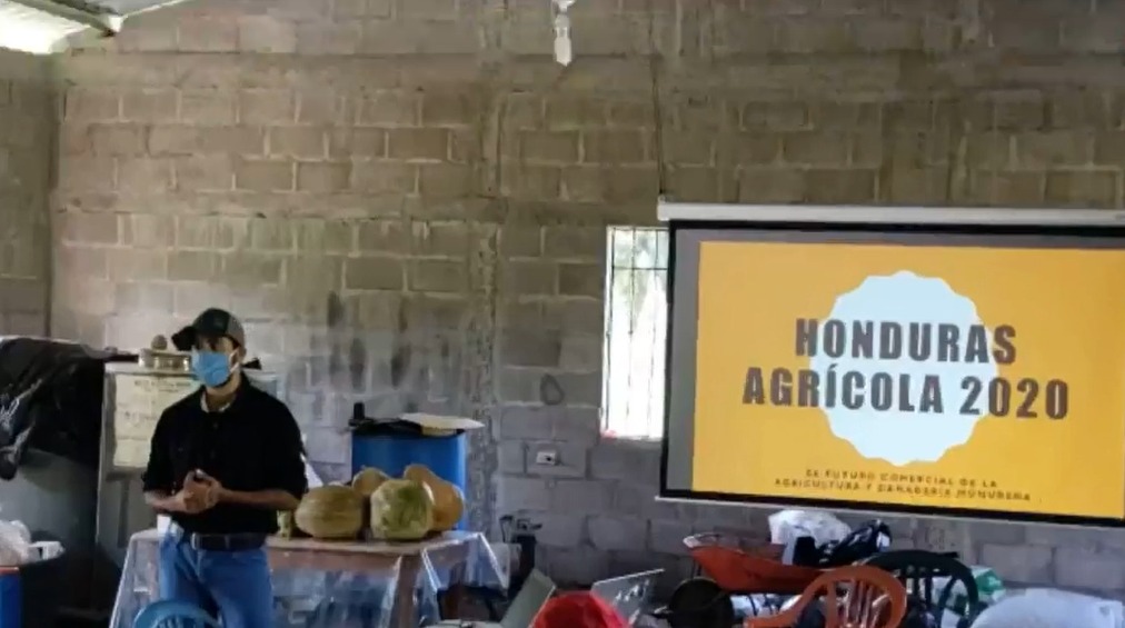 Ingenieros crean  plataforma digital para capacitar a pequeños emprendedores en  producción agrícola