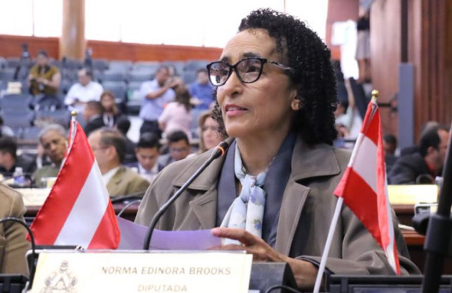 Edinora Brooks: «Si el Partido Liberal no se une no vamos a avanzar»