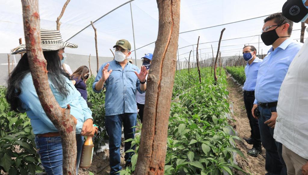 Presidente Hernández lanza Agrocrédito 5.0 para seguir desarrollando el sector productivo del país Presidente Hernández lanza Agrocrédito 5.0 para seguir desarrollando el sector productivo del país