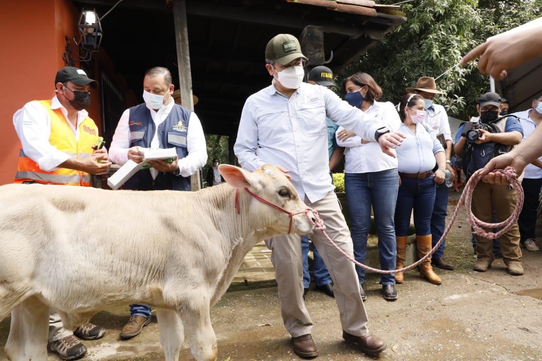 Gobierno lanza plan sanitario de salud animal en La Ceiba Gobierno lanza plan sanitario de salud animal en La Ceiba