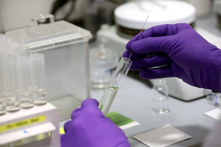 La plitidepsina logró reducir el 99% de la carga viral del covid-19 en pruebas de laboratorio La plitidepsina logró reducir el 99% de la carga viral del covid-19 en pruebas de laboratorio
