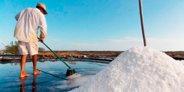 Anaprosal: 1.4 millones de quintales de sal producirán este año