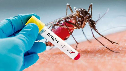 Secretaría de Salud: Un total de 492 casos de dengue van este año Secretaría de Salud: Un total de 492 casos de dengue van este año