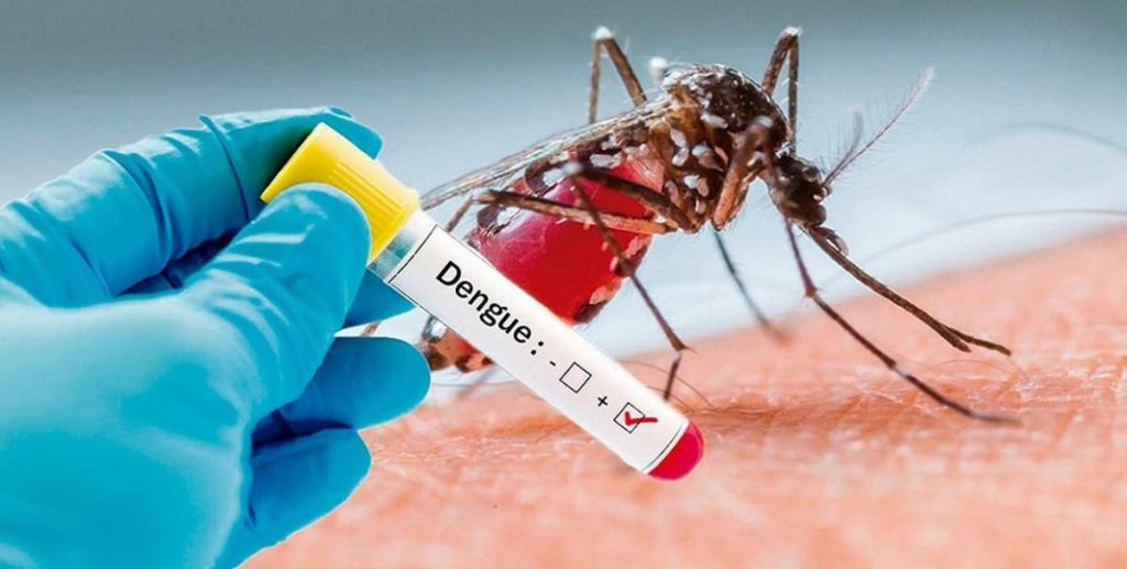 Señala OPS:   El Distrito Central y el norte del país serán intervenidos por aumento de casos de dengue