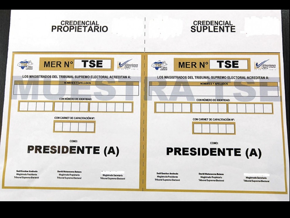 Hoy vence la prórroga para que movimientos políticos entreguen datos de las credenciales Hoy vence la prórroga para que movimientos políticos entreguen datos de las credenciales