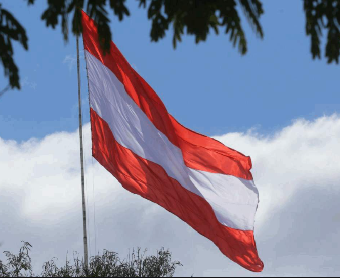 Diputada Karla Medal: «El PL ha abierto las puertas a la juventud hondureña» Diputada Karla Medal: «El PL ha abierto las puertas a la juventud hondureña»