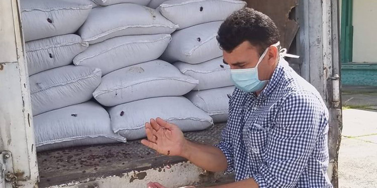 Gerente regional: IHMA tiene suficiente reserva para abastecer mercado interno Gerente regional: IHMA tiene suficiente reserva para abastecer mercado interno