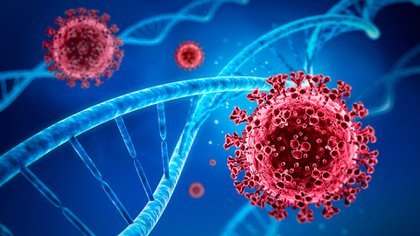 Encuentran en Nueva York una nueva variante del coronavirus que preocupa a científicos