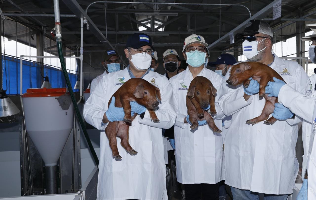 Presidente Hernández inauguró Centro de Genética Porcina más grande, moderno y tecnológico de Centro América