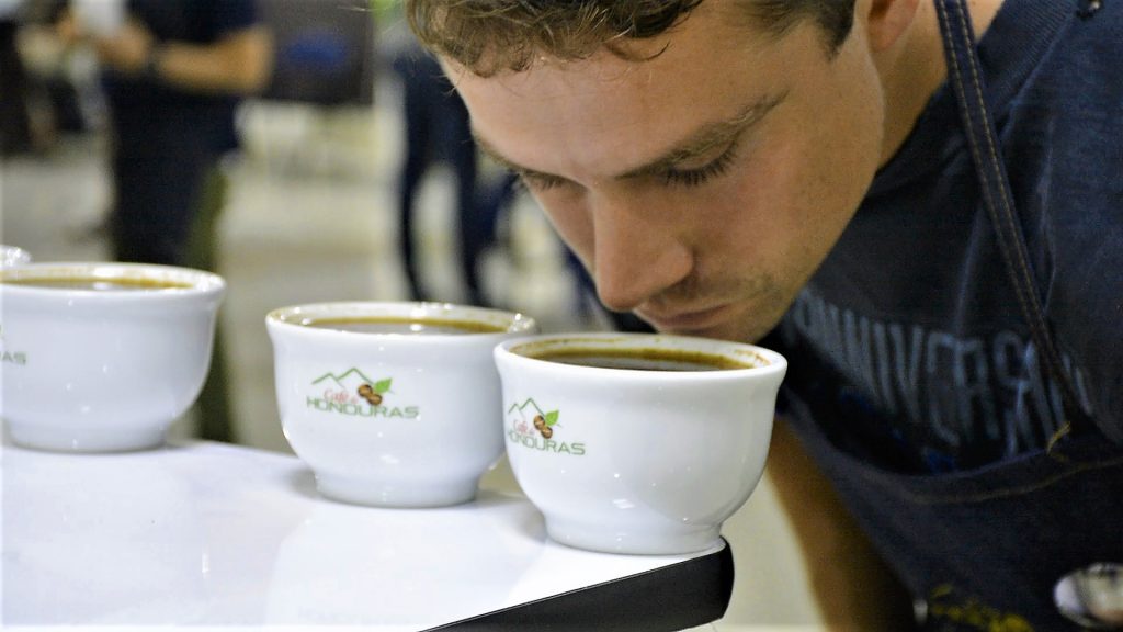 Ihcafé: 400 caficultores participarán en la Taza de la Excelencia Ihcafé: 400 caficultores participarán en la Taza de la Excelencia