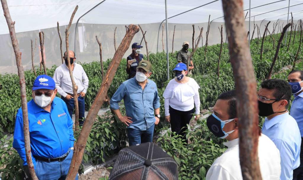 Gobierno pagará el 3.7% para que productores accedan al AgroCrédito