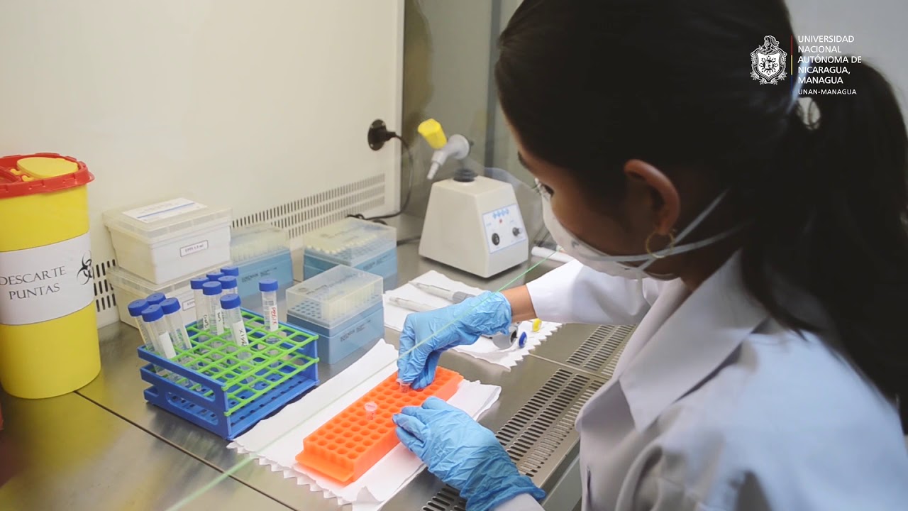 Honduras recibe los primeros 10 mil reactivos para la detección de nuevas variantes de la Covid-19