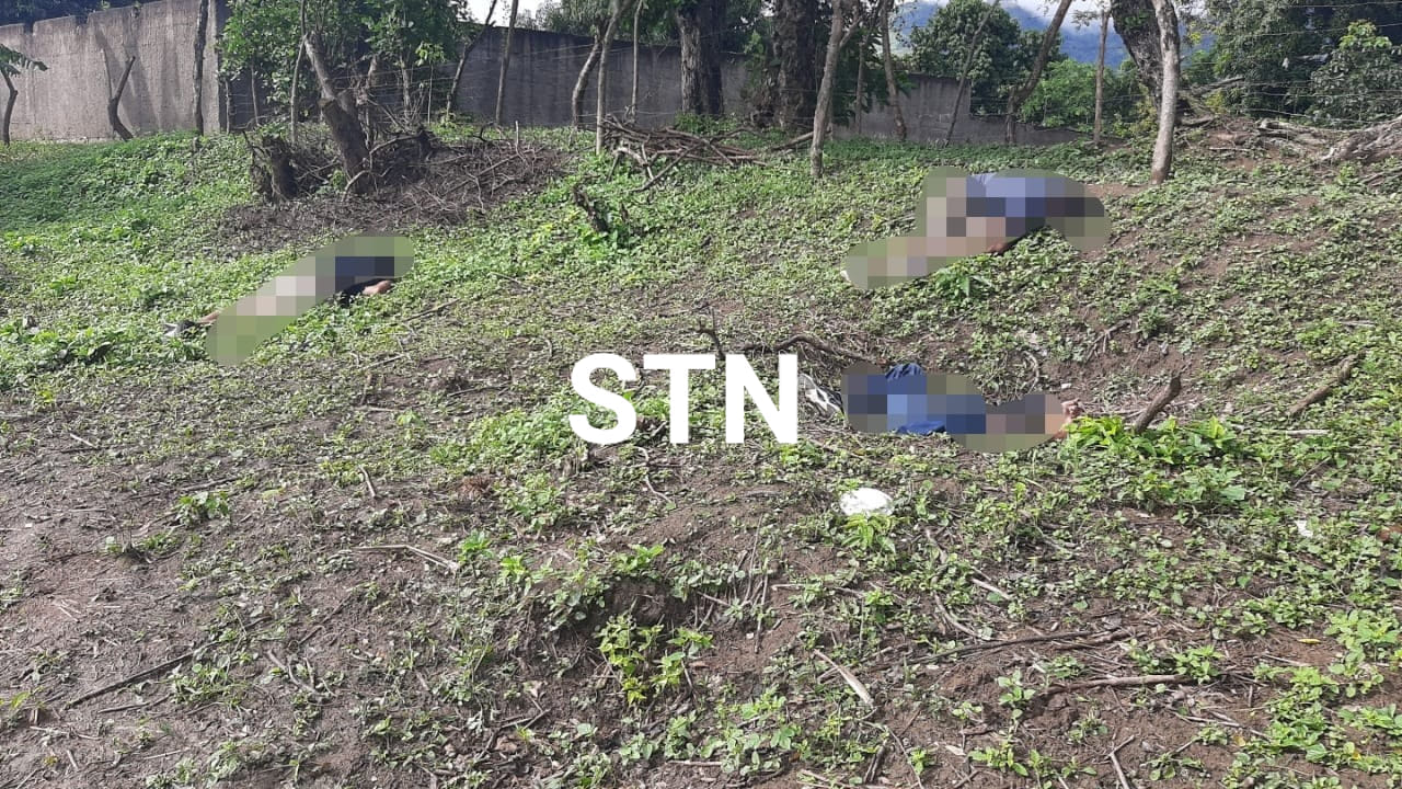 Nueva Masacre Deja Tres Muertos En La Zona Norte Del País - STN HONDURAS