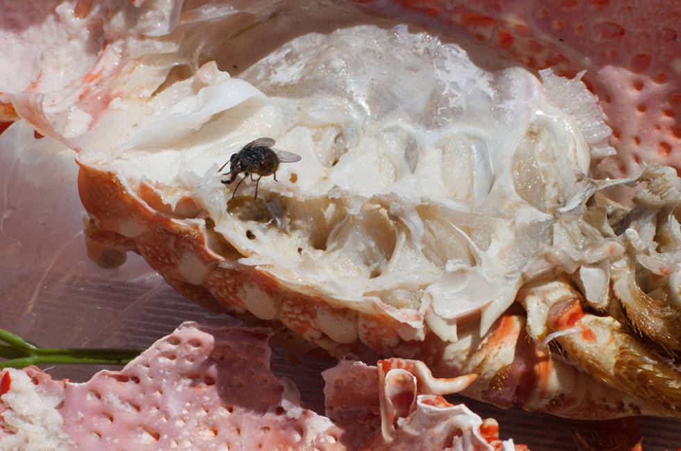 La fotografía de Wolfgang Tillmans