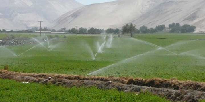 En Comayagua: SAG invertirá L 32 millones en proyecto de riego En Comayagua: SAG invertirá L 32 millones en proyecto de riego