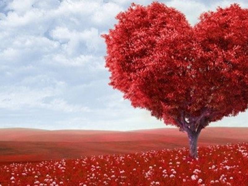 ¿Por qué se celebra el 14 de febrero el Día de San Valentín?