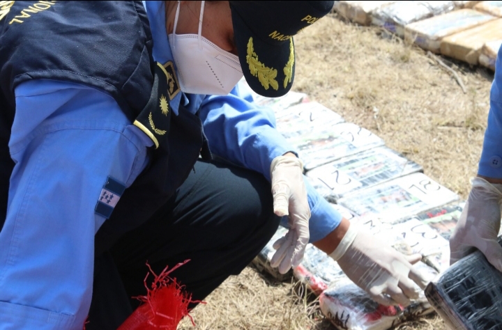 365 mil plantas para la elaboración de cocaína se ha decomisado en Honduras, según La Policía Nacional