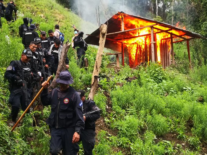 Policía Nacional asesta nuevo golpe al narcotráfico mediante trabajos operacionales en Colón