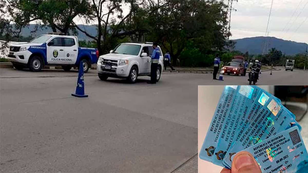 Más de 24 mil licencias de conducir ha decomisado la DNVT en lo que va del año Más de 24 mil licencias de conducir ha decomisado la DNVT en lo que va del año