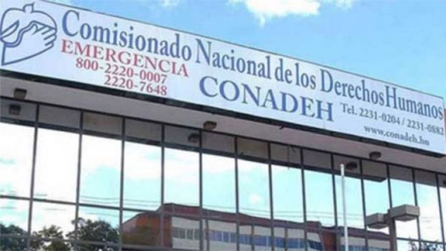 Conadeh tendrá más de 350 observadores en el proceso primario y habilita línea para denuncias de esa índole