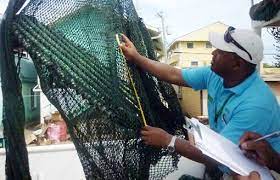 Para proteger al consumidor:   SAG capacita inspectores sobre productos pesqueros  