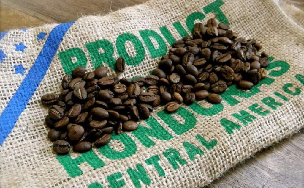 ¡Positivo! $ 1,000 millones generará exportación de café ¡Positivo! $ 1,000 millones generará exportación de café