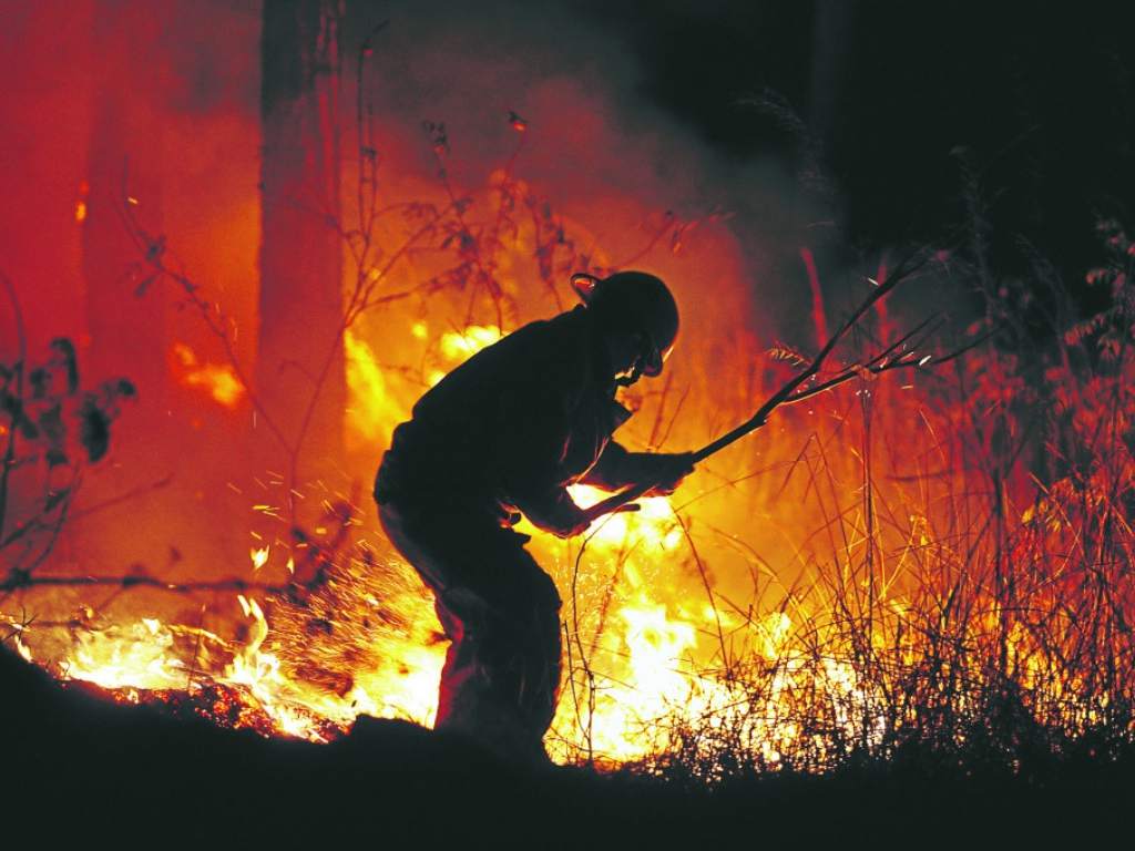 Viceministro de ICF: 70% bajan incendios forestales este año Viceministro de ICF: 70% bajan incendios forestales este año