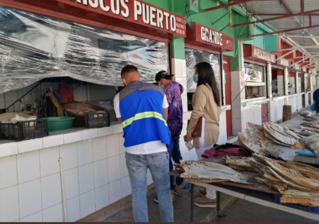 Protección al Consumidor y DIGEPESCA inspeccionan calidad de mariscos en mercados