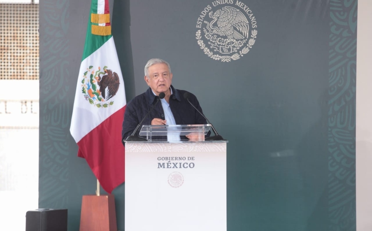 México pedirá a Biden que dé visas a centroamericanos que planten árboles México pedirá a Biden que dé visas a centroamericanos que planten árboles