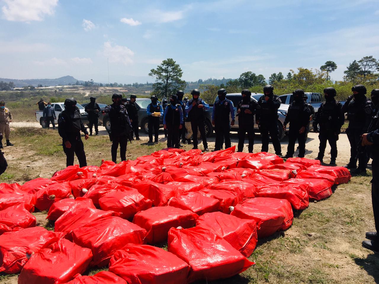 Incineradas 2.3 toneladas de droga decomisada por la DNPA en distintas zonas