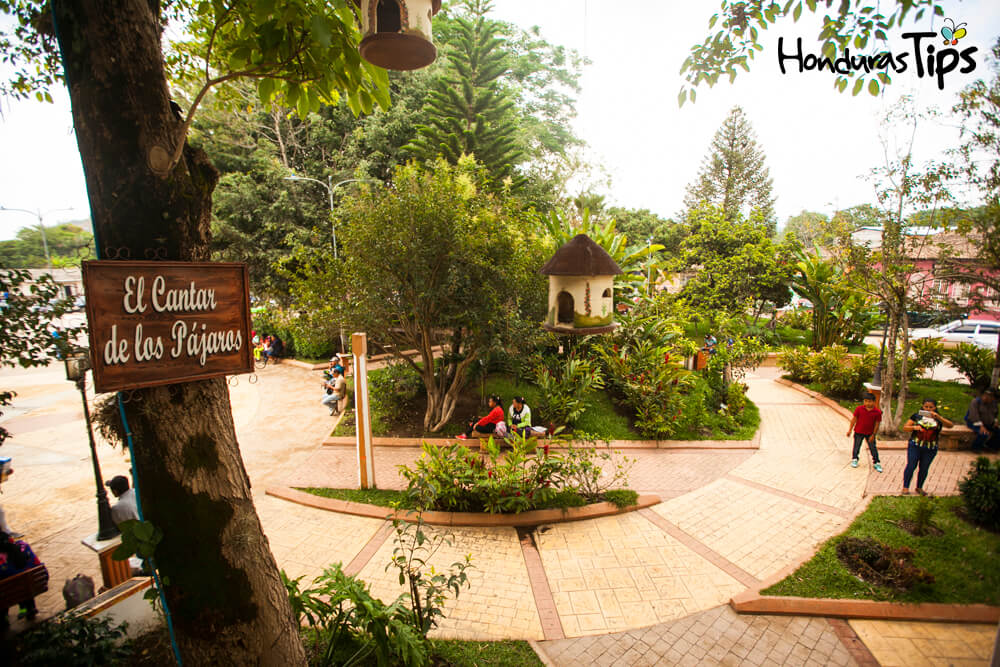 ¡Nadie entra y nadie sale! Cierran La Paz por aumento de contagios por Covid-19 ¡Nadie entra y nadie sale! Cierran La Paz por aumento de contagios por Covid-19