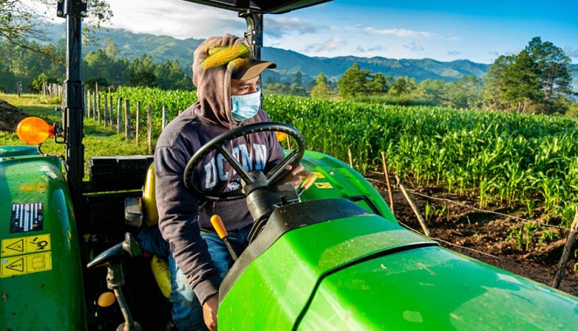 Fenagh anima a productores seguir accediendo al beneficio de Agrocredito Fenagh anima a productores seguir accediendo al beneficio de Agrocredito