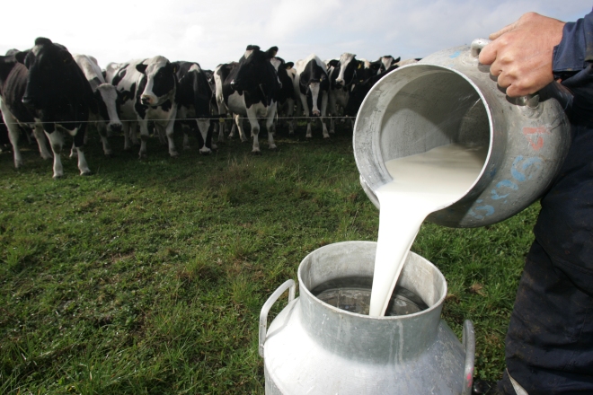 Fenagroh: L 1.50 bajará litro de leche Fenagroh: L 1.50 bajará litro de leche