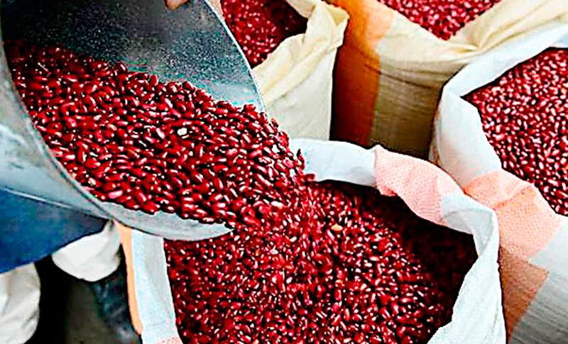 Ahorro Ferias el Lempirita mantienen a la baja precio del frijol