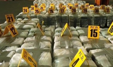 Decomisan en Costa Rica 460 kilos de cocaína en contenedor que iba a Bélgica