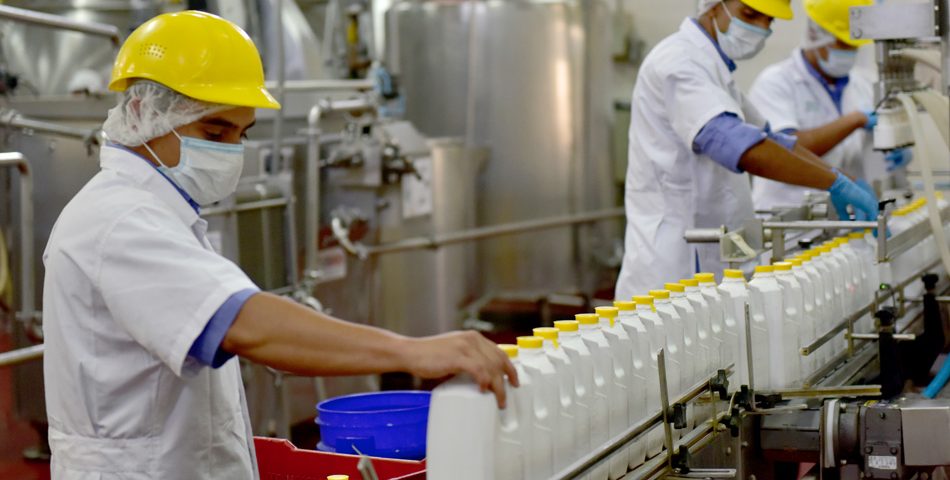 Israelitas instalarán procesadora de leche de cabra en Talanga FM Israelitas instalarán procesadora de leche de cabra en Talanga FM
