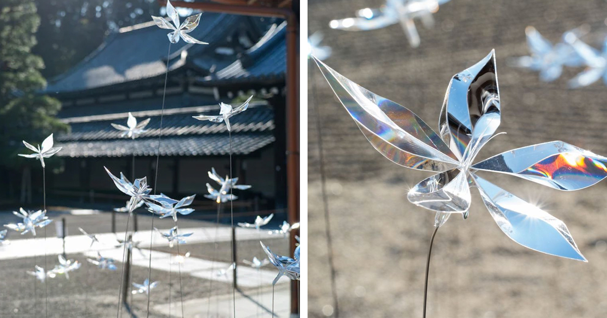 Takahiro Matsuo, nos hace soñar con su jardín de flores transparentes